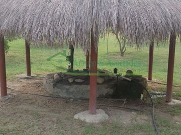 place photo 37