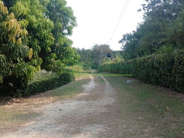 place photo 41