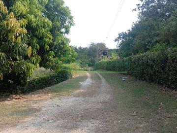 place photo 41