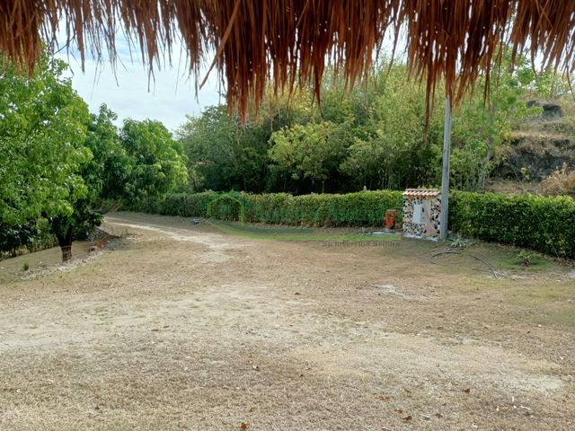 place photo 33