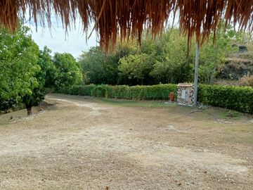place photo 33