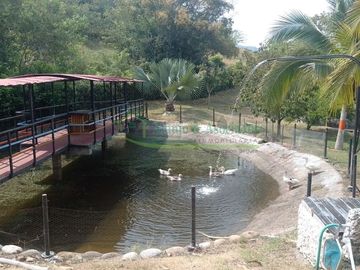 place photo 52