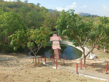 place photo 27
