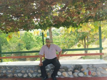 place photo 23