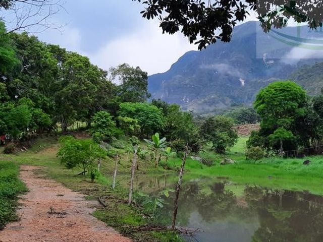 place photo 42