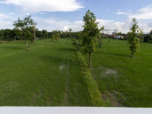 place photo 64
