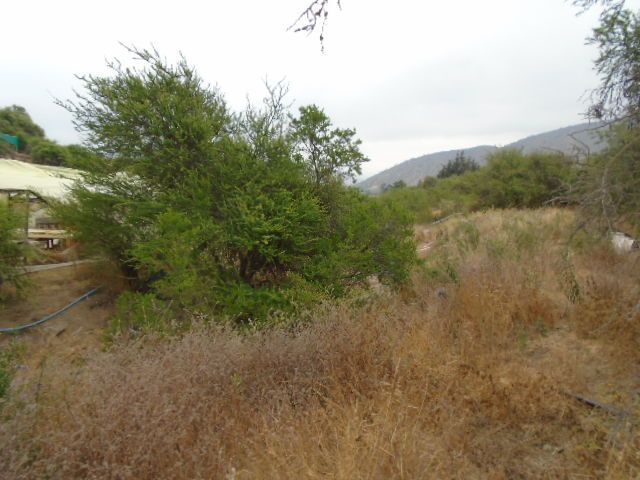 place photo 55
