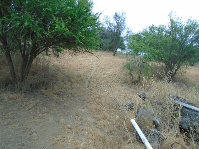 place photo 49