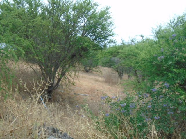place photo 48