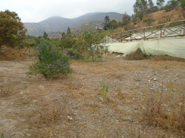 place photo 53