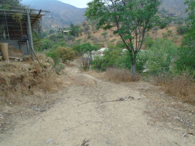 place photo 45