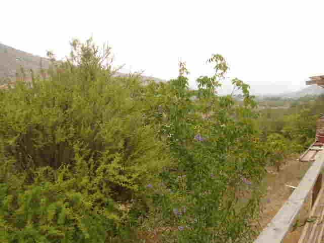place photo 41