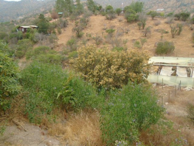 place photo 42