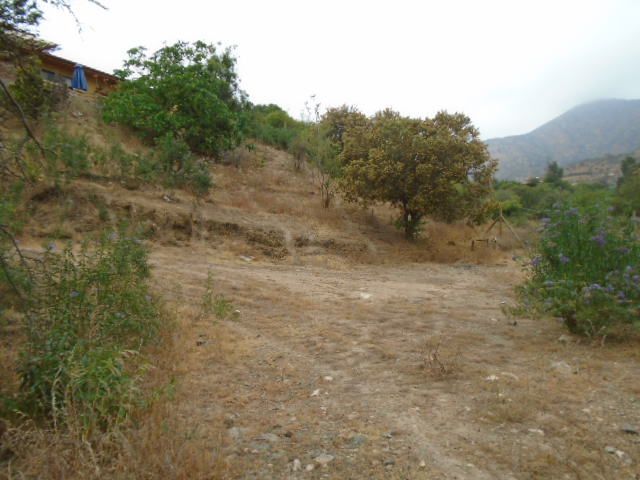 place photo 54