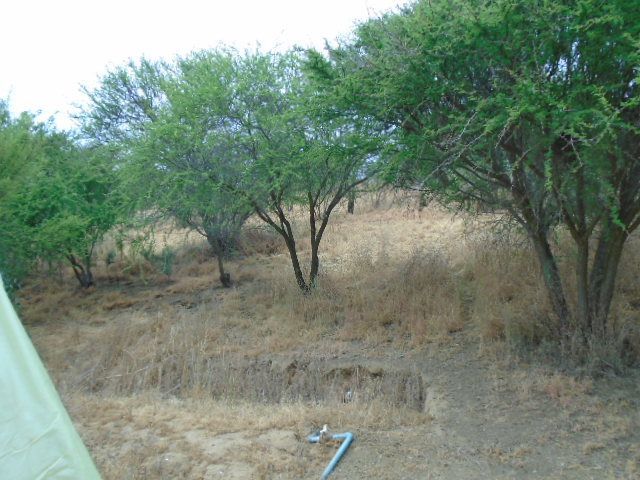 place photo 50