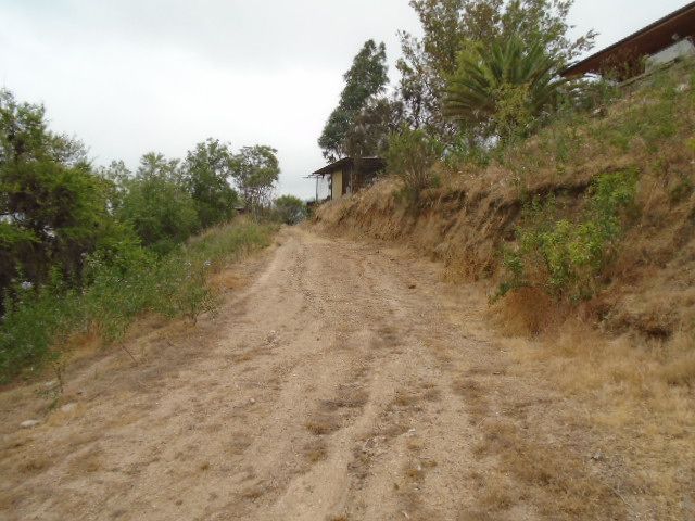place photo 57