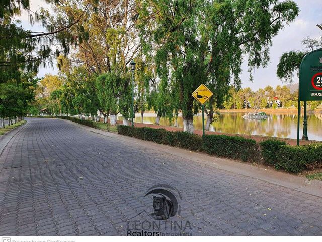 place photo 38