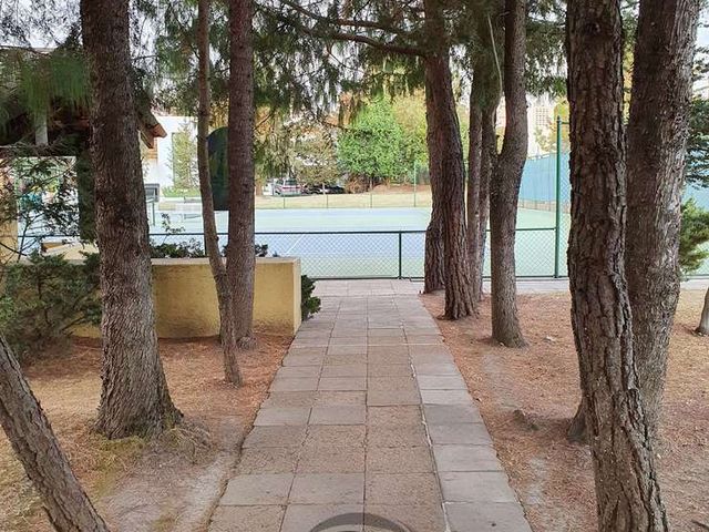 place photo 42