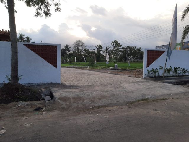 place photo 4