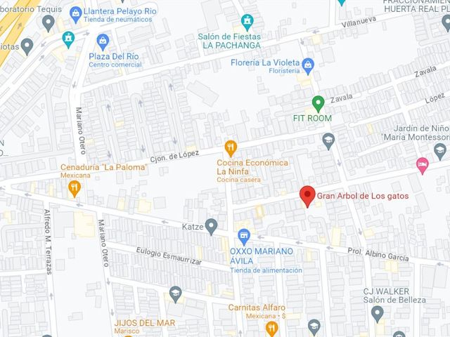 place photo 5