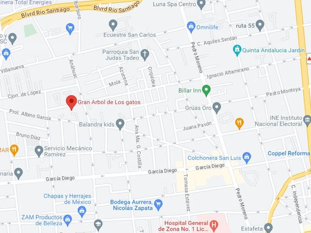 place photo 6