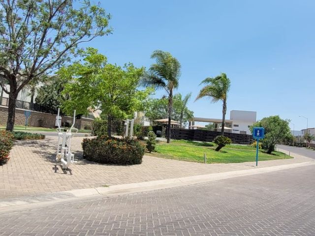 place photo 38