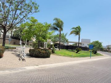 place photo 38