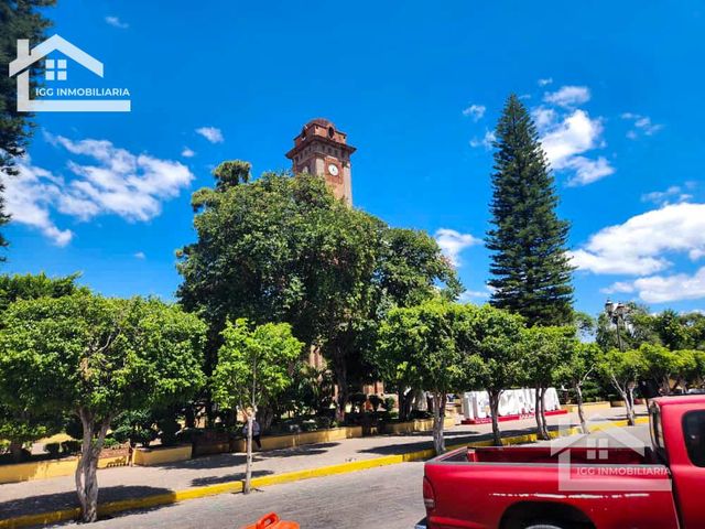 place photo 15