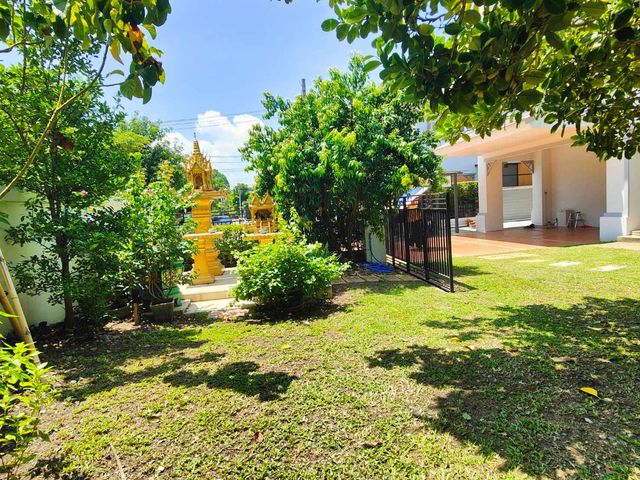 place photo 45