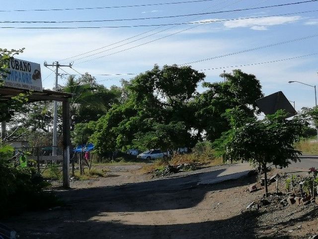 place photo 9