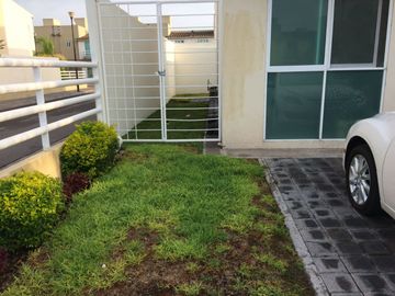 place photo 20