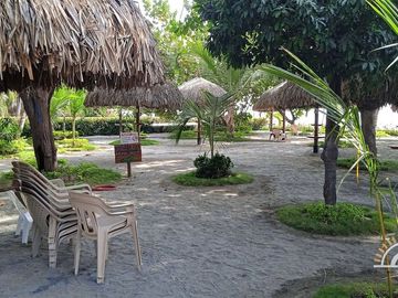 place photo 26