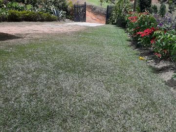 place photo 32