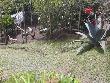 place photo 41