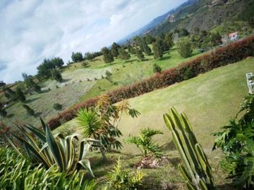 place photo 53