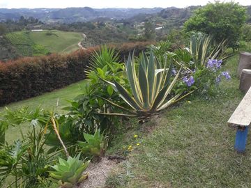 place photo 56