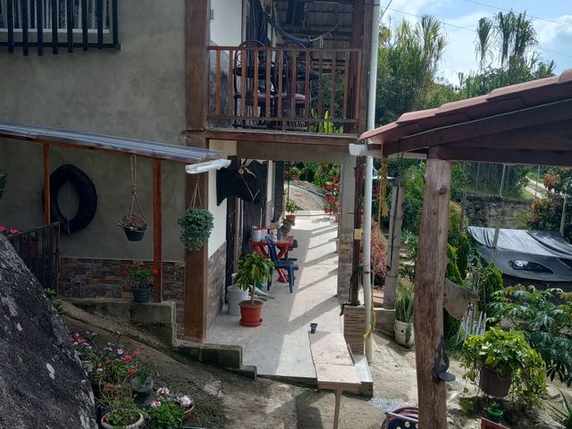 place photo 42