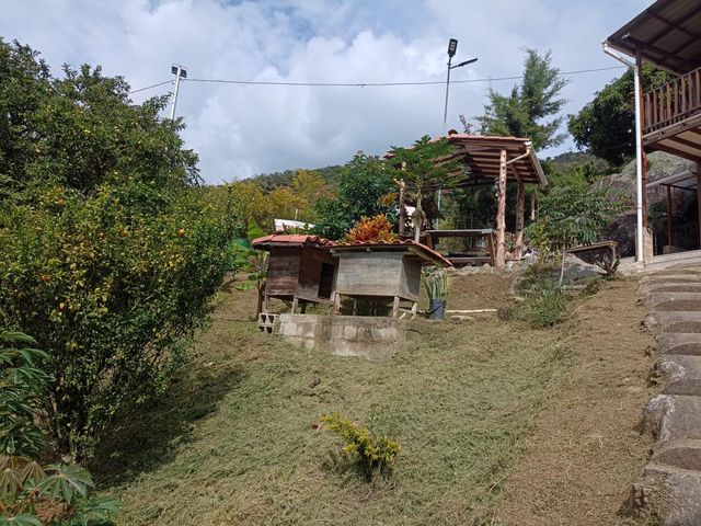 place photo 30