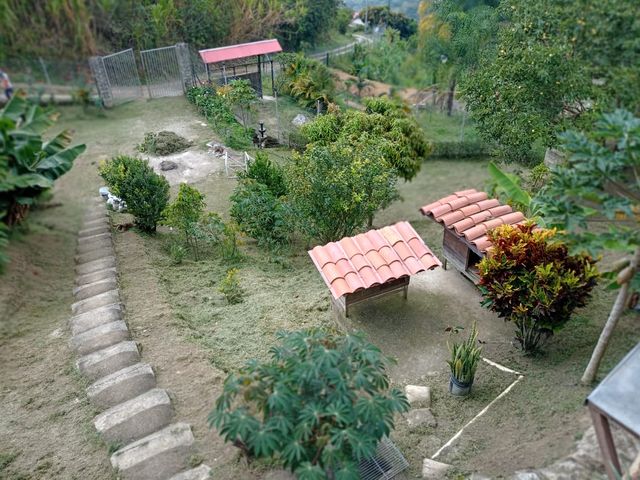 place photo 38