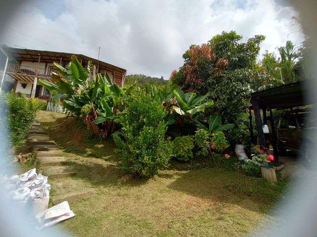 place photo 57