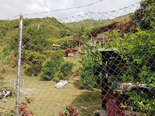place photo 53