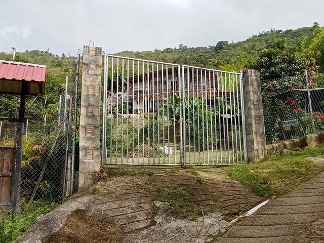 place photo 52
