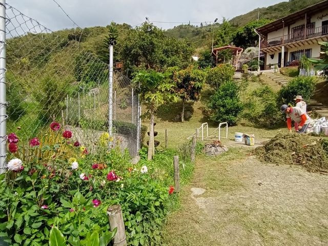place photo 56