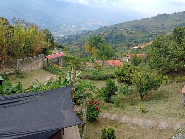 place photo 60