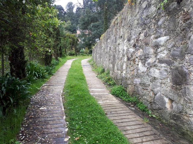 place photo 45