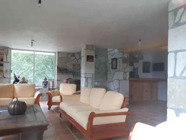 place photo 37