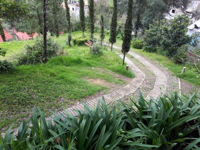 place photo 35