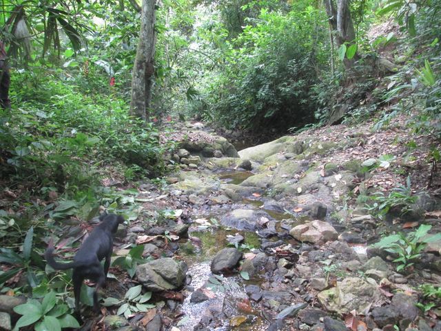 place photo 24