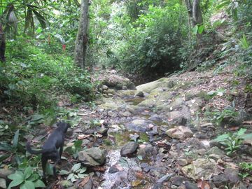 place photo 24