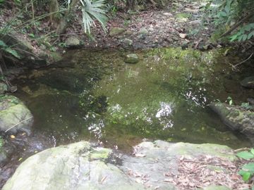 place photo 23